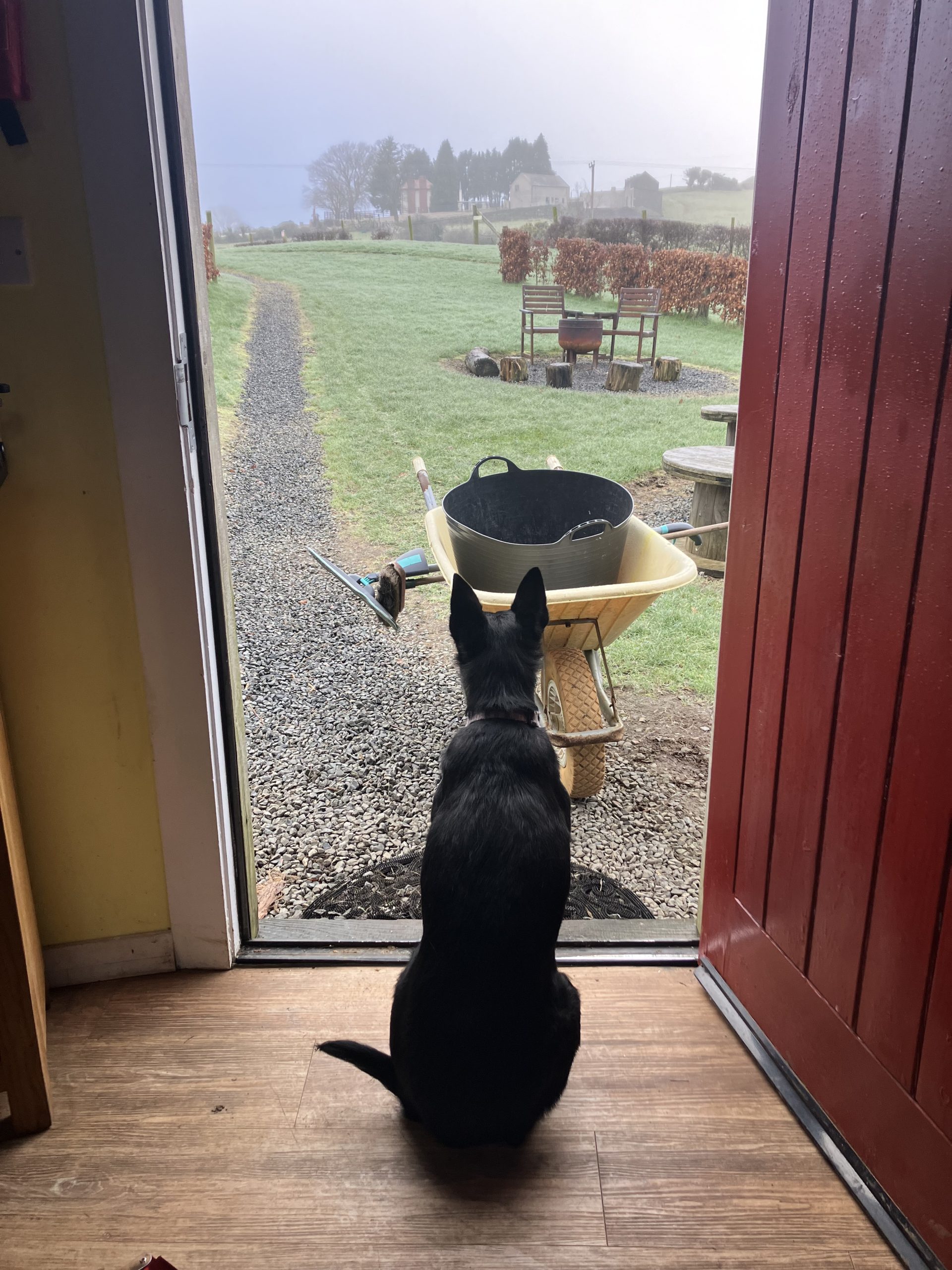 Dog friendly Glamping